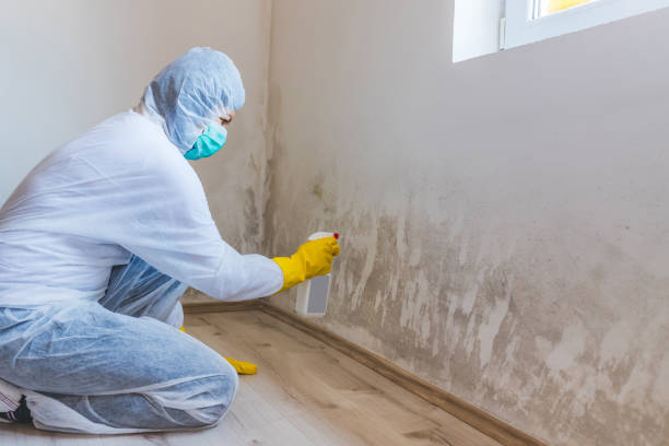 Bathroom Mold Removal assessment in Brookeville bathroom